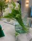 Preview: Muxing Glas Blumenvase Handtasche geformt klar Vase Aquarium